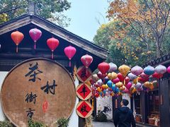 -天目湖山水园