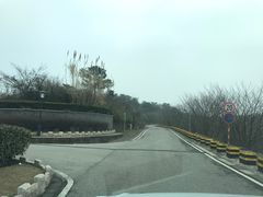 -羊山湖公园