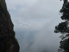 -七仙岭温泉国家森林公园