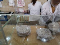 -杨招娣糕点(装驾桥巷店)