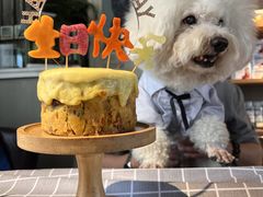 -百好乐宠物友好餐厅(朝外大街店)