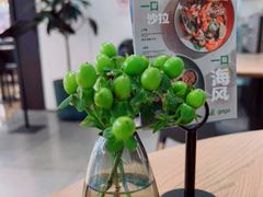 -gaga(深圳南山益田假日广场店)