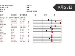 -北京赛佳动物医院
