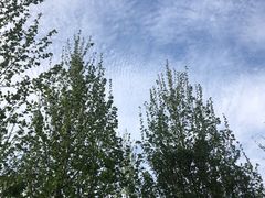 -回龙观体育文化公园