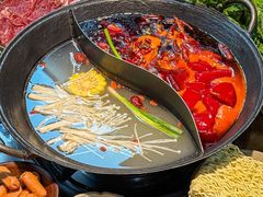 -阳阳老火锅(小南门店)