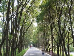 -同里国家湿地公园