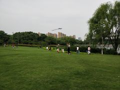 -杭州城北体育公园