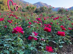 -黄陂区野村谷景区