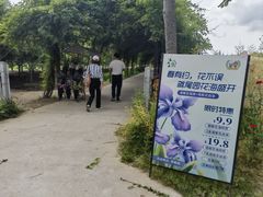 -上海长兴岛郊野公园