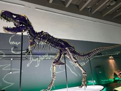 -香港科学馆