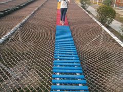 -凤凰欢乐大世界