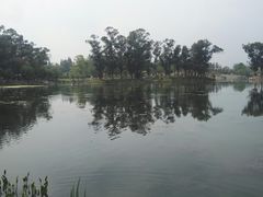 -两河城市森林公园