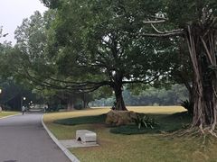 -南宁南湖公园