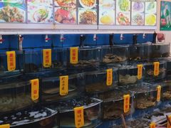 -渔中舟海鲜大排档(普陀沈家门店)