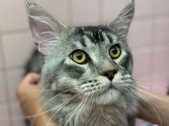 -FAELING PETS美天灵宠物(富力广场店)