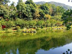 -梧桐山风景名胜区