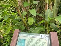 -华南国家植物园-售票处