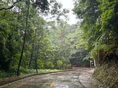 -广州市石门国家森林公园