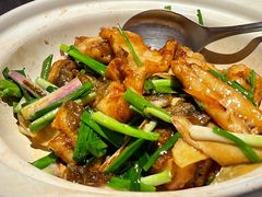 古法姜葱焗多宝鱼-惠食佳(滨江大公馆店)