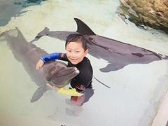 -新加坡水上探险乐园