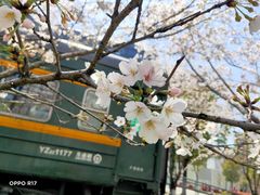 -新天地活力PARK