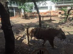 -昆明动物园