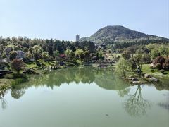 -牛首山文化旅游区