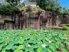 -广州莲花山旅游区