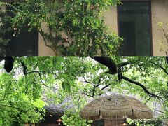 -乌村
