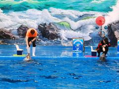 -多彩贵州城极地海洋世界