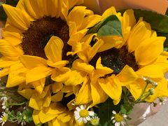 -海底捞火锅(方圆荟店)