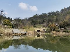 -黄陂区野村谷景区