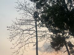 -白石龙音乐公园