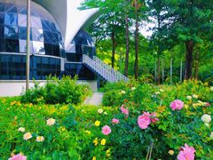 -人民公园(罗湖区)