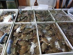 -毕家疃综合市场