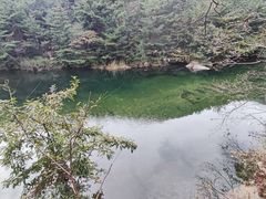 -无染寺