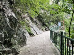 -洛阳白云山景区