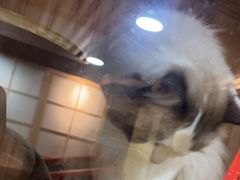 -白兔子密室(长寿路店)