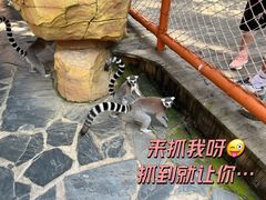 -北京野生动物园