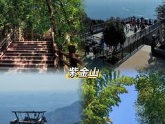 -紫金山山顶公园