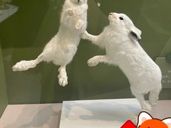 -国家自然博物馆