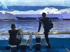 -秦皇岛乐岛海洋王国