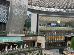 -正佳雨林生态植物园