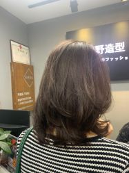 -藤野造型