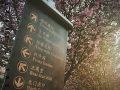 -西安青龙寺遗址景区