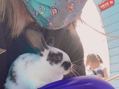 -季高兔窝窝亲子园(上海薰衣草公园店)