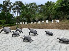 -广东惠东海龟国家级自然保护区