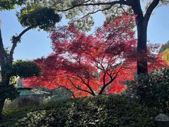 -银都名墅