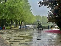 -北京国家会计学院