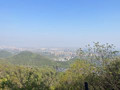 -杭州半山国家森林公园